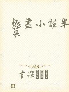 燃尽小说半截白菜