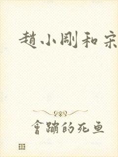 赵小刚和宋雨晴