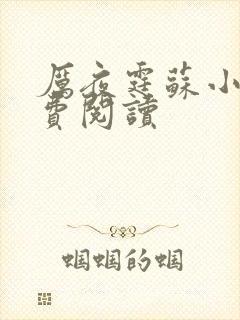 厉夜霆苏小汐免费阅读