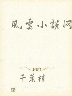风云小说网