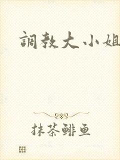 调教大小姐