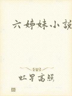 六姊妹小说