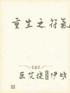 重生之符气冲天封面