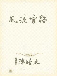 风流官路