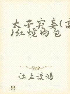 太子宠妾(高肉)红烧肉包