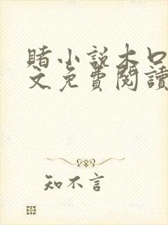 赌小说木口银全文免费阅读笔趣阁