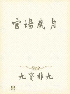 官场岁月