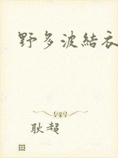 野多波结衣