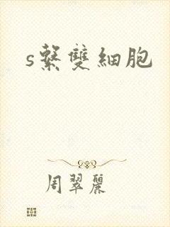 s系双细胞