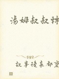 汤姆叔叔转接口