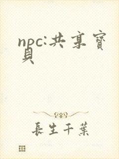 npc:共享宝贝