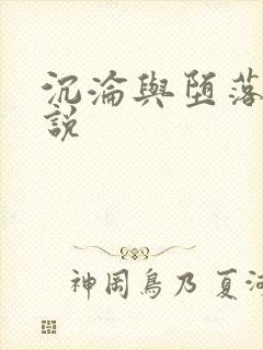 沉沦与堕落的小说