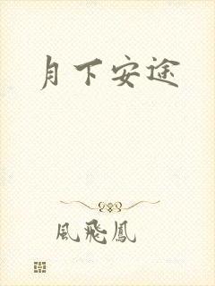 月下安途