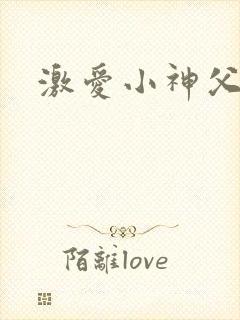 激爱小神父