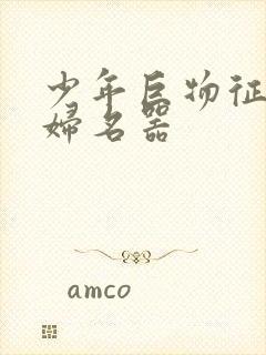 少年巨物征服美妇名器