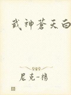 武神苍天白鹤封面