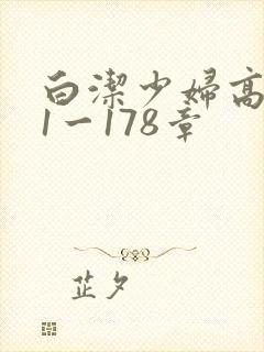 白洁少妇高义第1一178章