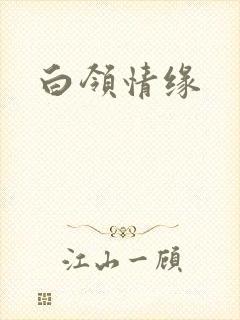 白领情缘