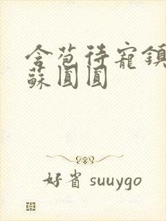 含苞待宠镇国公苏圆圆