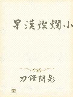 星汉灿烂小说