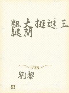 粗大挺进玉芬双腿间