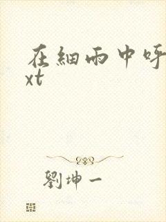 在细雨中呼喊txt