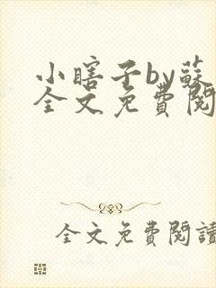 小瞎子by苏软全文免费阅读