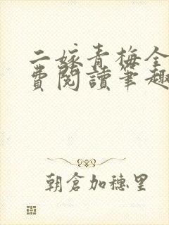 二嫁青梅全文免费阅读笔趣阁