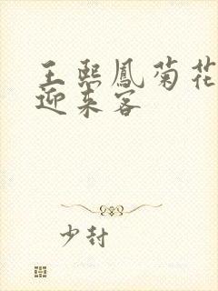 王熙凤菊花门初迎来客