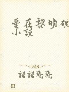 爱在黎明破晓前小说