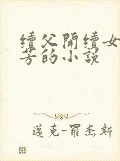 续父开续女包小芳的小说封面