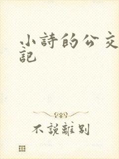 小诗的公交车日记