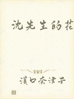 沈先生的花式调