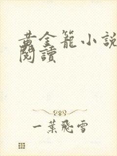 黄金笼小说免费阅读