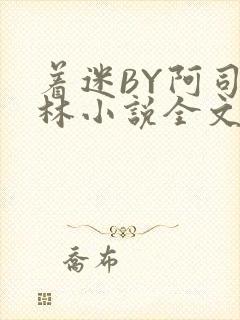 着迷BY阿司匹林小说全文免费阅读