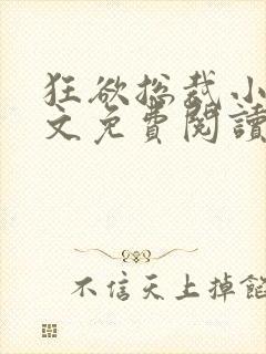 狂欲总裁小说全文免费阅读