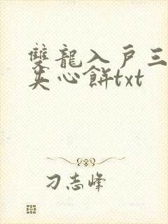 双龙入户三人行夹心饼txt