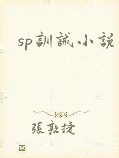 sp训诫小说