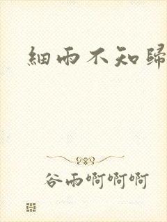 细雨不知归