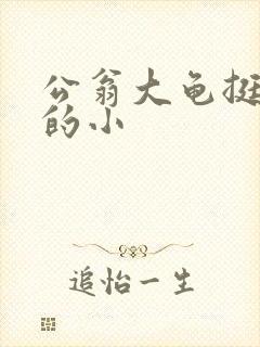 公翁大龟挺进我的小