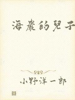 海岩的儿子