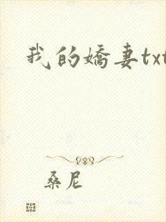 我的娇妻txt