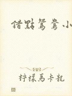 错点鸳鸯小说