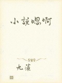 小说嗯啊
