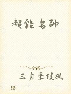 超能名帅封面