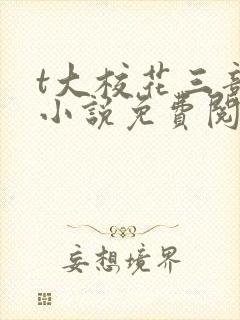 t大校花三部曲小说免费阅读全文