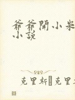 爷爷开小米的包小说