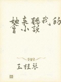 她来听我的演唱会小说