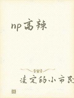 《np高辣》小说封面