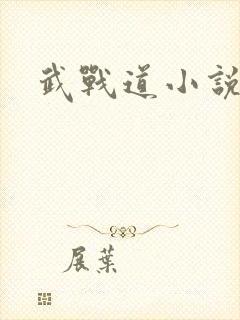 武战道小说